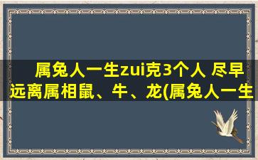 属兔人一生zui克3个人 尽早远离属相鼠、牛、龙(属兔人一生zui克的3个属相，尽早预防与鼠、牛、龙为中心交往！)